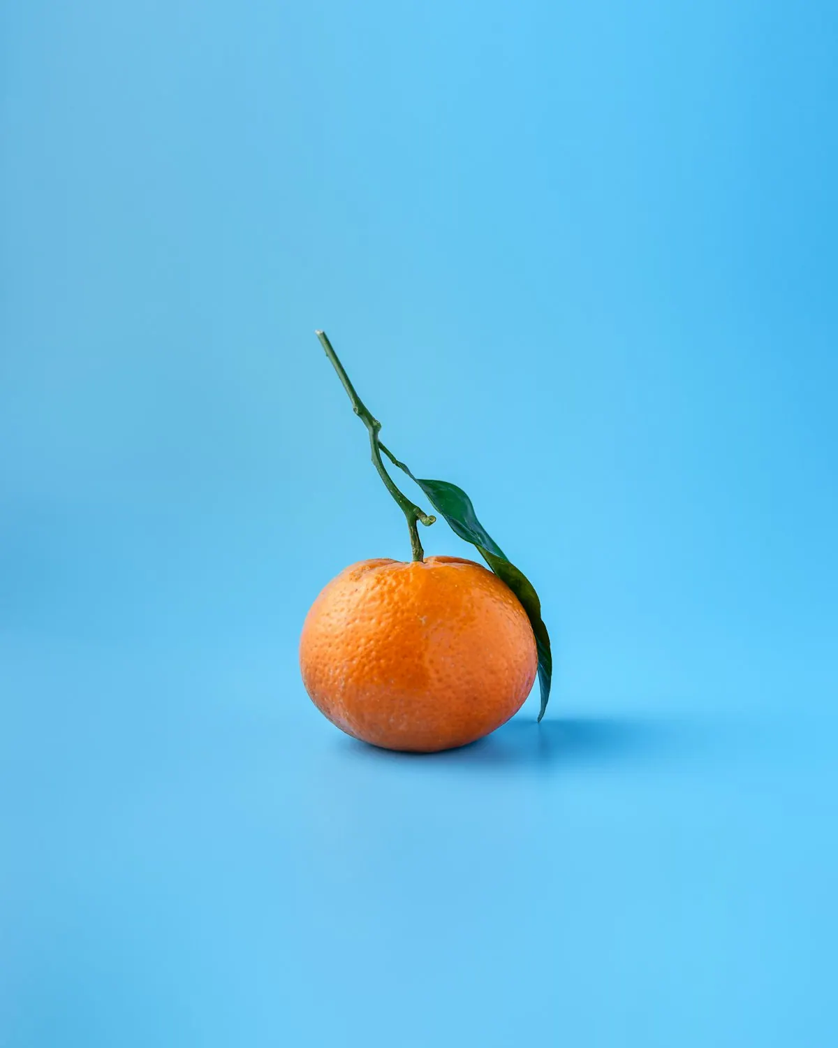 实施与培训