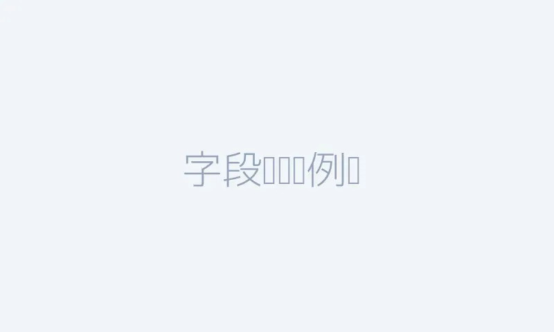字段规范图示